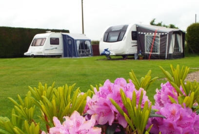 Woodland Gardens Caravan & Camping Site just for adults